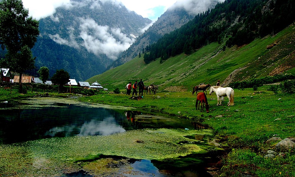 travel to Kashmir